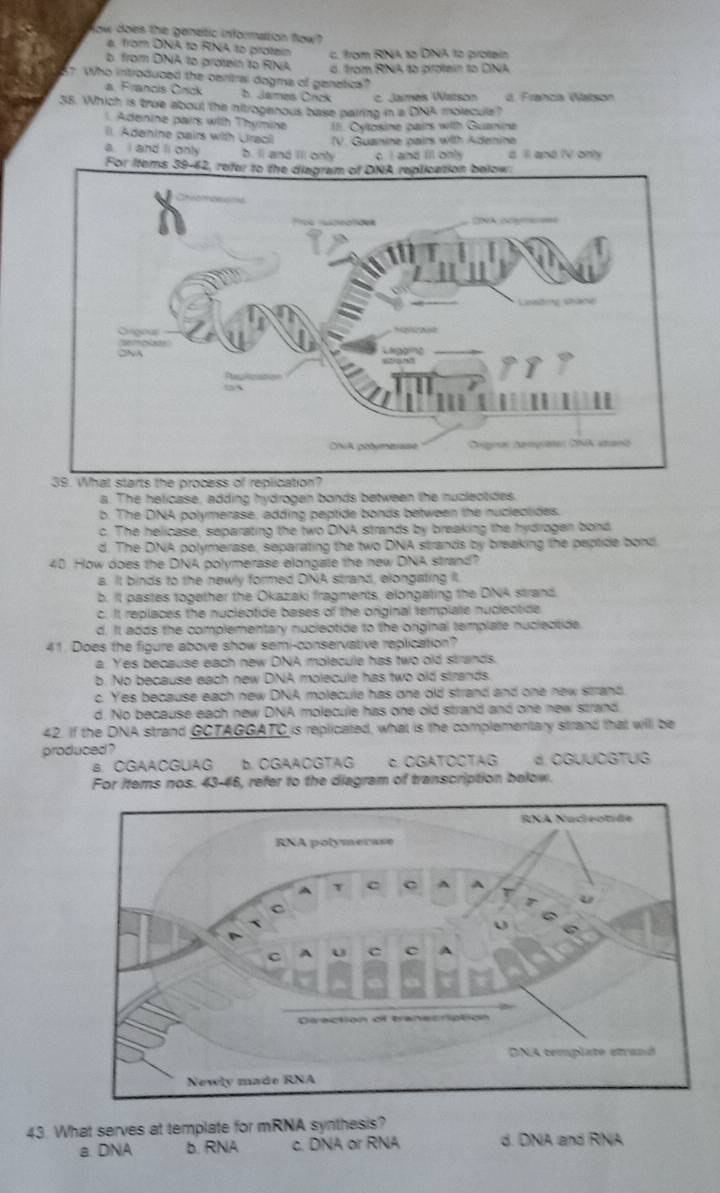 fow does the genetic information flow
a. from DNA to RNA to protein c. from RNA 12 DNA to protain
b from DNA to protein to RNA d. from RNA to protein to DINA
5? Who introduced the cenitral dogma of genetica?
a. Francis Crick b. James Cnck c. James Watson d. Franca Watson
35. Which is true about the nitrogenous base pairing in a DNA molecule?
1 Adenine pairs with Thymine II. Cytosine pairs with Guanine
i. Adenine cairs with Uraoi V. Guanine pairs with Adenine
a. I and ll only b. ll and 'll onty c. I and ill only a 'll and IV only
a. The helicase, adding hydrogen bonds between the nuclectides.
b. The DNA polymerase, adding peptide bonds between the nuclectides.
c. The helicase, separating the two DNA strands by breaking the hydrogen bond
d. The DNA polymerase, separating the two DNA strands by breaking the peptide bond.
40. How does the DNA polymerase elongate the new DNA strand?
a. It binds to the newly formed DNA strand, elongating It
b. It pastes together the Okazaki fragments, elongating the DNA strand.
c. It replaces the nucleotide bases of the original templae nuciectide
d. It adds the complementary nucleotide to the original template nuclectide.
41. Does the figure above show semi-conservative replication?
a. Yes because each new DNA molecule has two old strands.
b. No because each new DNA molecule has two old strands.
c. Yes because each new DNA molecule has one old strand and one new strand.
d. No because each new DNA molecule has one old strand and one new strand.
42. If the DNA strand GCTAGGATC is replicated, what is the complementary strand that will be
produced ?
B. CGAACGUAG b. OGAACGTAG c. CGATÓCTAG # OGUUOGTUG
For items nos. 43-46, refer to the diagram of transcription below.
43. What serves at template for mRNA synthesis?
a. DNA b. RNA c. DNA or RNA d. DNA and RNA