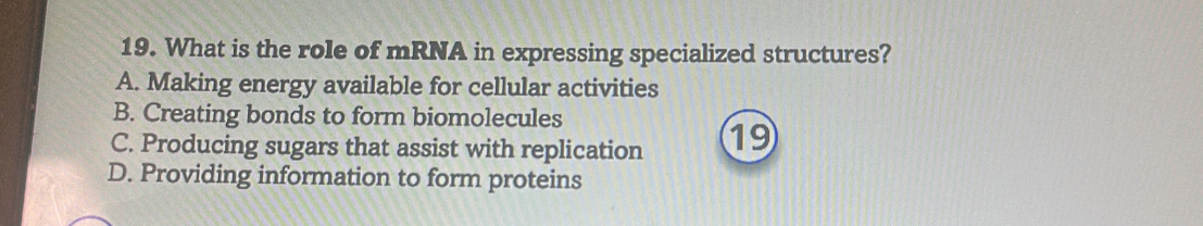 What is the role of mRNA in expressing specialized structures?
A. Making energy available for cellular activities
B. Creating bonds to form biomolecules
C. Producing sugars that assist with replication 19
D. Providing information to form proteins