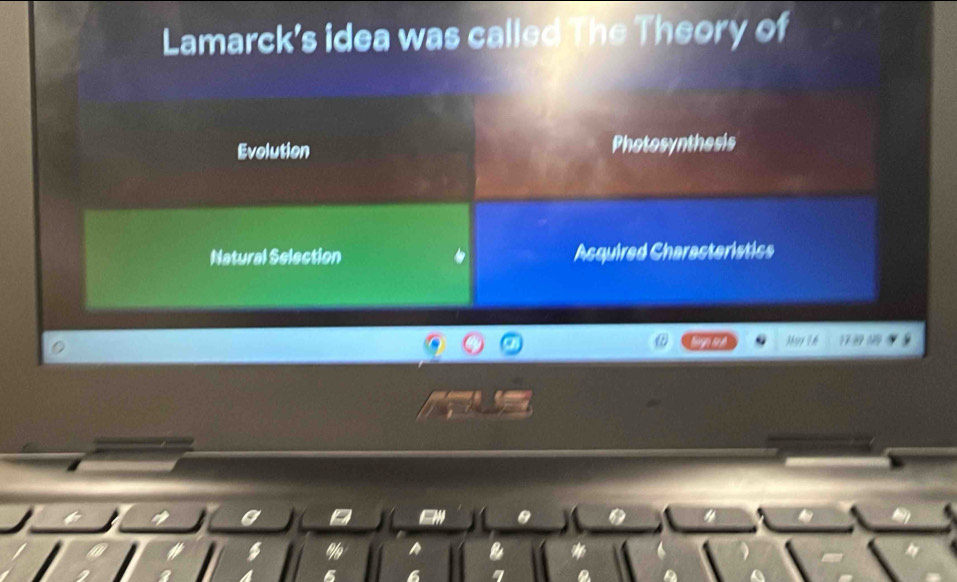 Lamarck's idea was called The Theory of 
Mary I h 17
4
—
η