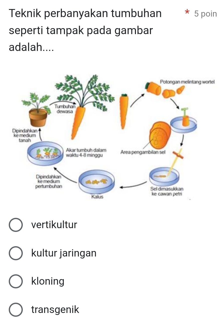 Teknik perbanyakan tumbuhan 5 poin
seperti tampak pada gambar
adalah....
vertikultur
kultur jaringan
kloning
transgenik