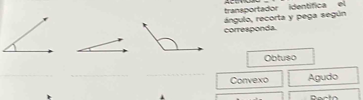 transportador identifica el 
ángulo, recorta y pega según 
corresponda. 
Obtuso 
_ 
_ 
_ 
Convexo Agudo