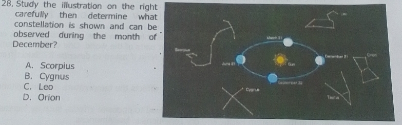 Study the illustration on the right
carefully then determine wh
constellation is shown and can 
observed during the month 
December?
A. Scorpius
B. Cygnus
C. Leo
D. Orion