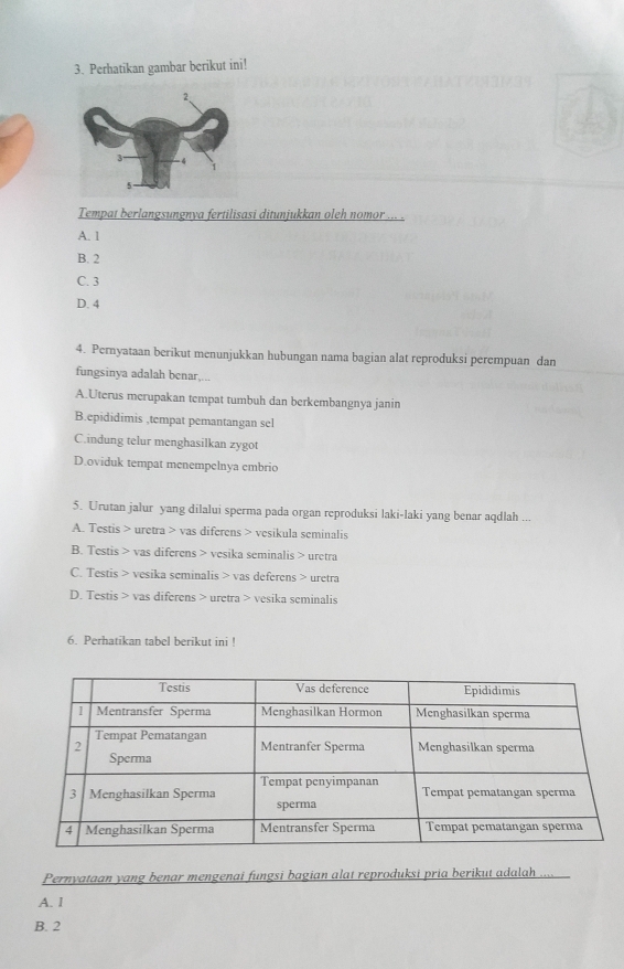 Perhatikan gambar berikut ini!
Tempat berlangsungnya fertilisasi ditunjukkan oleh nomor ... .
A. 1
B. 2
C. 3
D. 4
4. Pernyataan berikut menunjukkan hubungan nama bagian alat reproduksi perempuan dan
fungsinya adalah benar,...
A.Uterus merupakan tempat tumbuh dan berkembangnya janin
B.epididimis ,tempat pemantangan sel
C.indung telur menghasilkan zygot
D.oviduk tempat menempelnya embrio
5. Urutan jalur yang dilalui sperma pada organ reproduksi laki-laki yang benar aqdlah ...
A. Testis > uretra > vas diferens > vesikula seminalis
B. Testis > vas diferens > vesika seminalis > uretra
C. Testis > vesika seminalis > vas deferens > uretra
D. Testis > vas diferens > uretra > vesika seminalis
6. Perhatikan tabel berikut ini !
Pernyataan yang benar mengenai fungsi bagian alat reproduksi pria berikut adalah
A. I
B. 2