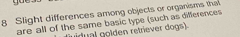 Slight differences among objects or organisms that 
are all of the same basic type (such as differences 
ividual golden retriever dogs).