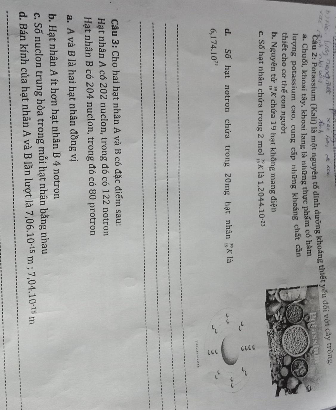 Potassium (Kalí) là một nguyên tố dinh dưỡng khoáng thit yếu đối với cây trồng.
a. Chuối, khoai tây, khoai lang là những thực phẩm có hàm
lượng potassium cao, cung cấp những khoáng chất cần
thiết cho cơ thể con người
b. Nguyên tử _(19)^(39)K 7 chứa 19 hạt không mang điện
c. Số hạt nhân chứa trong 2 mol _(19)^(39)K là 1,2044.10^(-23)
:
d. Số hạt notron chứa trong 20mg hạt nhân _(19)^(39)KIa
6,174.10^(21)
_
_
_
_
_
Câu 3: Cho hai hạt nhân A và B có đặc điểm sau:
Hạt nhân A có 202 nuclon, trong đó có 122 notron
Hạt nhân B có 204 nuclon, trong đó có 80 protron
a. A và B là hai hạt nhân đồng vị
b. Hạt nhân A ít hơn hạt nhân B 4 notron
c. Số nuclon trung hòa trong mỗi hạt nhân bằng nhau
d. Bán kính của hạt nhân A và B lần lượt là 7,06.10^(-15)m; 7,04.10^(-15)m _
_
_
_