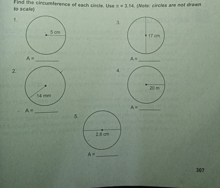 Find the circumference of each circle. Use π =3.14. (Note: circles are not drawn 
to scale) 
1. 
3.
A=
_
A=
_ 
2. 
4.
A= _ 
_ A=
5.
A= _ 
307