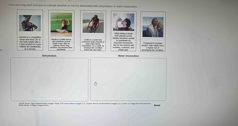 Click and drag each scenario to indicate whether or not it is associated with dehydration or water intoxication. 

Dehydration Water intoxication 
Soccer player: Hans Neleman/Getty Images; Boxer: Erik Isakson/Blend Images LLC; Couple: Ronnie Kaufman/Bllend Images LLC; Cyclist: (c) Image Source/SuperStock; Reset 
Ballet dancer: © Blend Images/Alamy