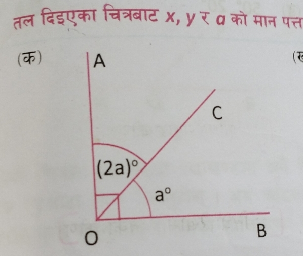 तल दिइएका चित्रबाट x, y र a को मान पत्त
(क) 
( २