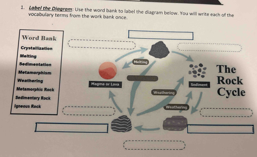 Solved: Label the Diagram: Use the word bank to label the diagram below ...