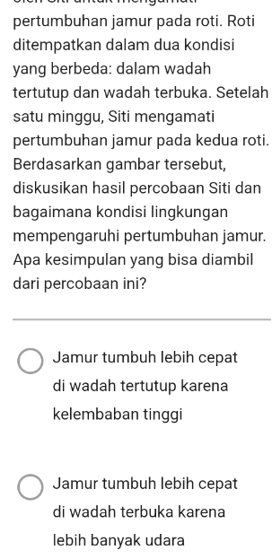 pertumbuhan jamur pada roti. Roti
ditempatkan dalam dua kondisi
yang berbeda: dalam wadah
tertutup dan wadah terbuka. Setelah
satu minggu, Siti mengamati
pertumbuhan jamur pada kedua roti.
Berdasarkan gambar tersebut,
diskusikan hasil percobaan Siti dan
bagaimana kondisi lingkungan
mempengaruhi pertumbuhan jamur.
Apa kesimpulan yang bisa diambil
dari percobaan ini?
Jamur tumbuh lebih cepat
di wadah tertutup karena
kelembaban tinggi
Jamur tumbuh lebih cepat
di wadah terbuka karena
lebih banyak udara