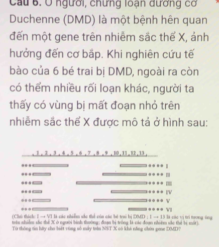 Cầu 6. O người, chưng loạn dương cơ 
Duchenne (DMD) là một bệnh hên quan 
đến một gene trên nhiễm sắc thể X, ảnh 
hưởng đến cơ bắp. Khi nghiên cứu tế 
bào của 6 bé trai bị DMD, ngoài ra còn 
có thểm nhiều rối loạn khác, người ta 
thấy có vùng bị mất đoạn nhỏ trên 
nhiễm sắc thể X được mô tả ở hình sau: 
、 1, 2, 3 , 4 , 5 , 6. 7 , 8 , 9 , 10 , 11 , 12, 13. . 
.. 
I 
.. — III 
.. * ⅣV 
. . 
.。 
. ● ● V 
.. ● ● ● ● VI 
(Chú thích: I → VI là các nhiễm sắc thể của các bé trai bị DMD : 1 → 13 là các vị tri tương úng 
trên nhiễm sắc thể X ở người binh thường: đoạn bị trồng là các đoạn nhiêm sắc thể bị mắt). 
Từ thông tin hãy cho biét vùng số máy trên NST X có khả năng chứa gene DMD?