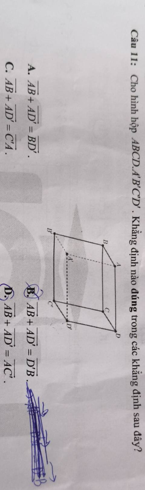 Cho hình hộp ABCD.A'B' C'T ' . Khẳng định nào đúng trong các khẳng định sau đây?
A. overline AB+overline AD'=overline BD'. B. vector AB+vector AD'=vector D'B
C. vector AB+vector AD'=vector C'A. D. vector AB+vector AD'=vector AC'.