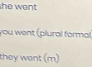 she went . 
you went (plural formal 
they went (m)