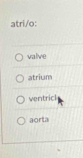 atri/o:
valve
atrium
ventricl
aorta