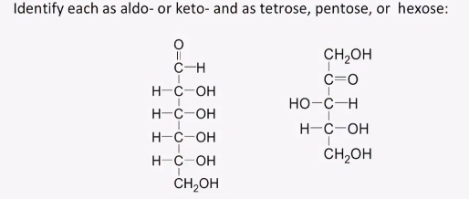 Identify each as aldo- or keto- and as tetrose, pentose, or hexose:
beginarrayr o_C C-Hendarray 
CH_2OH
C=0
H-C-OH
HO-C-H
H-C-OH
H-C-OH
H-C-OH beginarrayr H-C-OH CH_2OHendarray
CH_2OH