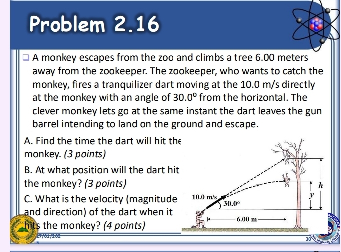 Problem 2.16 
A monkey escapes from the zoo and climbs a tree 6.00 meters
away from the zookeeper. The zookeeper, who wants to catch the 
monkey, fires a tranquilizer dart moving at the 10.0 m/s directly 
at the monkey with an angle of 30.0° from the horizontal. The 
clever monkey lets go at the same instant the dart leaves the gun 
barrel intending to land on the ground and escape. 
A. Find the time the dart will hit the 
monkey. (3 points) 
B. At what position will the dart hit 
1 
the monkey? (3 points) h 
C. What is the velocity (magnitude 10.0 m/s
y
30.0°
and direction) of the dart when it
6.00 m
hits the monkey? (4 points) 
27/01/202 
30