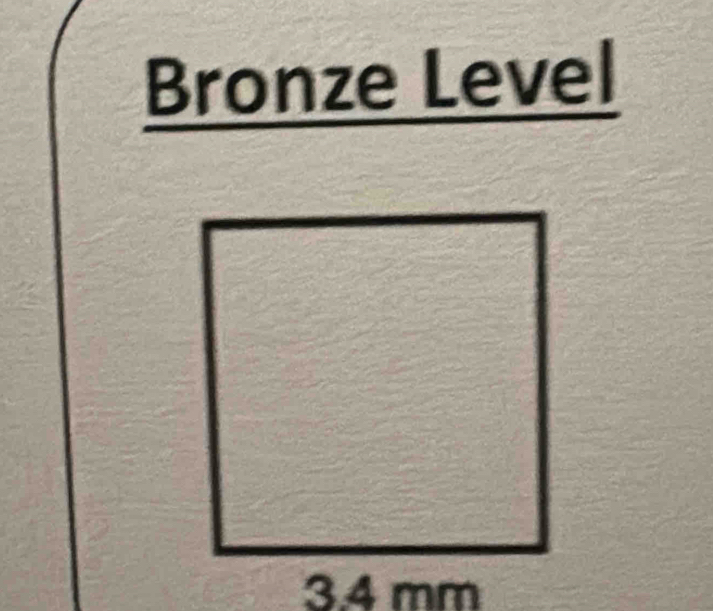 Bronze Level