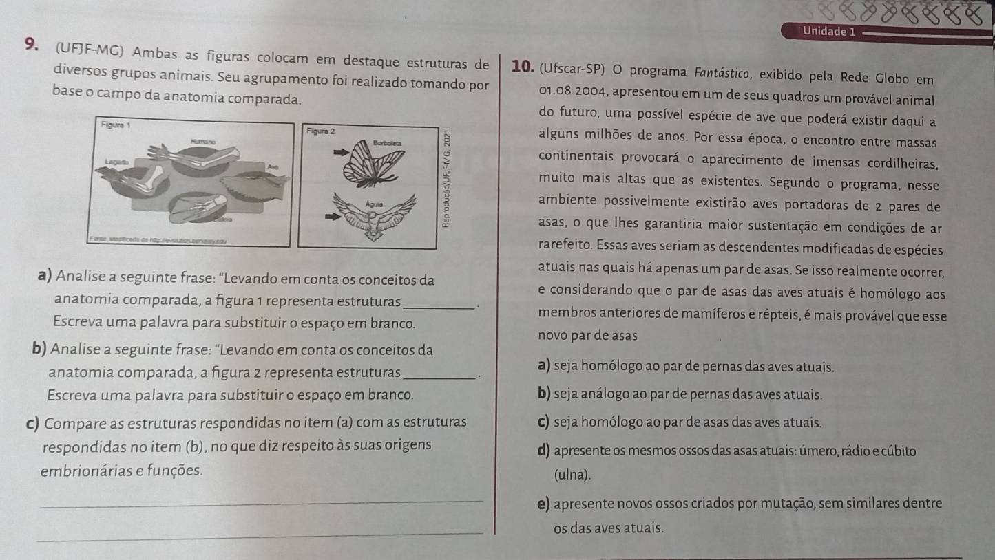 Unidade 1
9. (UFJF-MG) Ambas as figuras colocam em destaque estruturas de  10. (Ufscar-SP) O programa Fantástico, exibido pela Rede Globo em
diversos grupos animais. Seu agrupamento foi realizado tomando por 01.08.2004, apresentou em um de seus quadros um provável animal
base o campo da anatomia comparada. do futuro, uma possível espécie de ave que poderá existir daqui a
alguns milhões de anos. Por essa época, o encontro entre massas
continentais provocará o aparecimento de imensas cordilheiras,
muito mais altas que as existentes. Segundo o programa, nesse
ambiente possivelmente existirão aves portadoras de 2 pares de
asas, o que lhes garantiria maior sustentação em condições de ar
rarefeito. Essas aves seriam as descendentes modificadas de espécies
atuais nas quais há apenas um par de asas. Se isso realmente ocorrer,
a) Analise a seguinte frase: “Levando em conta os conceitos da e considerando que o par de asas das aves atuais é homólogo aos
anatomia comparada, a figura 1 representa estruturas_ membros anteriores de mamíferos e répteis, é mais provável que esse
Escreva uma palavra para substituir o espaço em branco.
novo par de asas
b) Analise a seguinte frase: “Levando em conta os conceitos da
anatomia comparada, a figura 2 representa estruturas_
. a) seja homólogo ao par de pernas das aves atuais.
Escreva uma palavra para substituir o espaço em branco. b) seja análogo ao par de pernas das aves atuais.
c) Compare as estruturas respondidas no item (a) com as estruturas c) seja homólogo ao par de asas das aves atuais.
respondidas no item (b), no que diz respeito às suas origens d) apresente os mesmos ossos das asas atuais: úmero, rádio e cúbito
embrionárias e funções. (ulna).
_e) apresente novos ossos criados por mutação, sem similares dentre
_os das aves atuais.