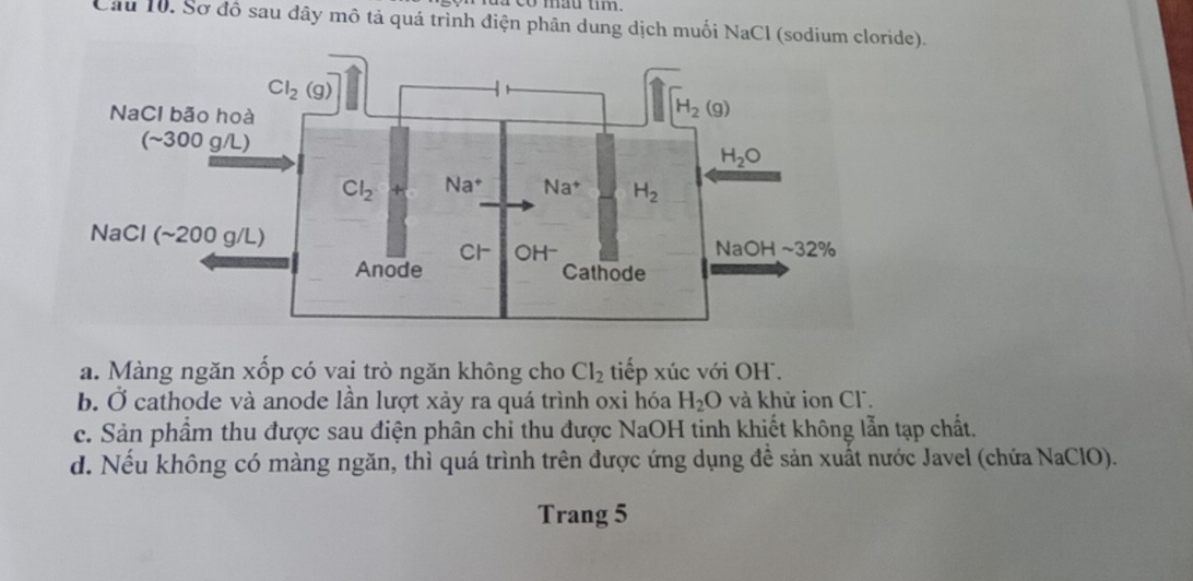 co mau tm  .
Câu 10. Sơ đô sau đây mô tả quá trình điện phân dung dịch muối NaCl (sodium cloride).
a. Màng ngăn xốp có vai trò ngăn không cho Cl_2 tiếp xúc với OH.
b. Ở cathode và anode lần lượt xảy ra quá trình oxi hóa H_2O và khử ion Cl.
c. Sản phẩm thu được sau điện phân chỉ thu được NaOH tinh khiết không lẫn tạp chất.
d. Nếu không có màng ngăn, thì quá trình trên được ứng dụng đề sản xuất nước Javel (chứa NaClO).
Trang 5