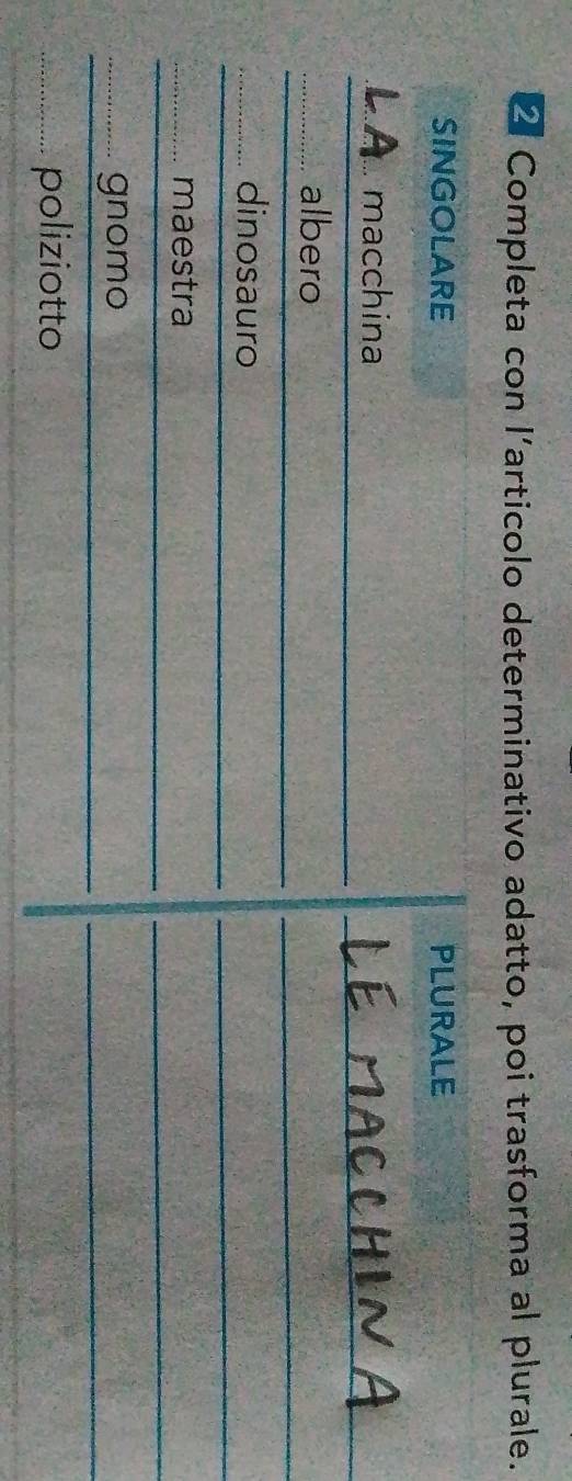 Completa con l’articolo determinativo adatto, poi trasforma al plurale.