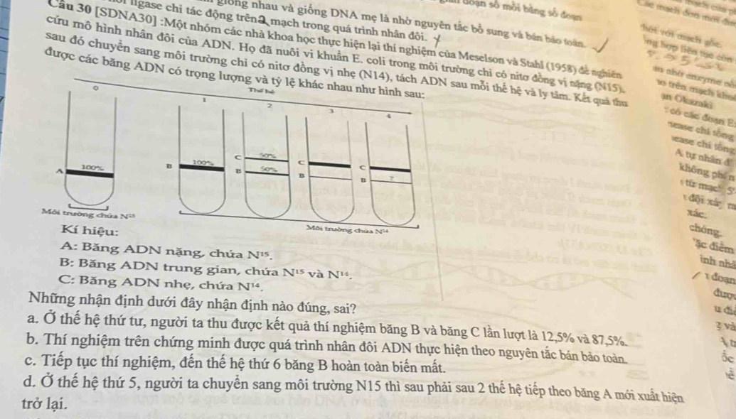 loạn số môi bằng số đoạn
Các mạch đơn mớ đaa
ligase chỉ tác động trên2 mạch trong quá trình nhân đôi.
giong nhau và giống DNA mẹ là nhờ nguyên tắc bổ sung và bản bảo toàn. ng hợp liên tạe còn
hột với mạch gốc
Cầu 30 [SDNA30] :Một nhóm các nhà khoa học thực hiện lại thí nghiệm của Meselson và Stahl (1958) đề nghiên
cứu mô hình nhân đôi của ADN. Họ đã nuôi vi khuẩn E. coli trong môi trường chỉ có nitơ đồng vị nặng (N15).
sau đó chuyển sang môi trường chỉ có nitơ đồng vị nhẹ (N14), tách ADN sau mỗi thể hệ và ly tăm. Kết quả thu
được các băng ADN có trọng lượng và tỷ lệ khác nhau như hình s
an abó emryme số o trên mạch kho an Okazaki
Thể hể
có các đoạn E: nease chi tổng ease chí tổng A tự nhân đ'
A 100% 
khōng phín
từ mạch  5
dội xáy ra
xác:
Môi trường chủa Ni 
Kí hiệu:
chóng
'ặc điểm
A: Băng ADN nặng, chứa N^(15).
inh nhà
B: Băng ADN trung gian, chứa N^(15) và N^(14).
1 đoạn
C: Băng ADN nhẹ, chứa N^(14)
dượ
Những nhận định dưới đây nhận định nào đúng, sai? 3 và
u đ
a. Ở thế hệ thứ tư, người ta thu được kết quả thí nghiệm băng B và băng C lần lượt là 12,5% và 87,5% c
b. Thí nghiệm trên chứng minh được quá trình nhân đôi ADN thực hiện theo nguyên tắc bán bảo toàn.
đc
c. Tiếp tục thí nghiệm, đến thế hệ thứ 6 băng B hoàn toàn biến mất. lè
d. Ở thế hệ thứ 5, người ta chuyển sang môi trường N15 thì sau phải sau 2 thế hệ tiếp theo băng A mới xuất hiện
trở lại.