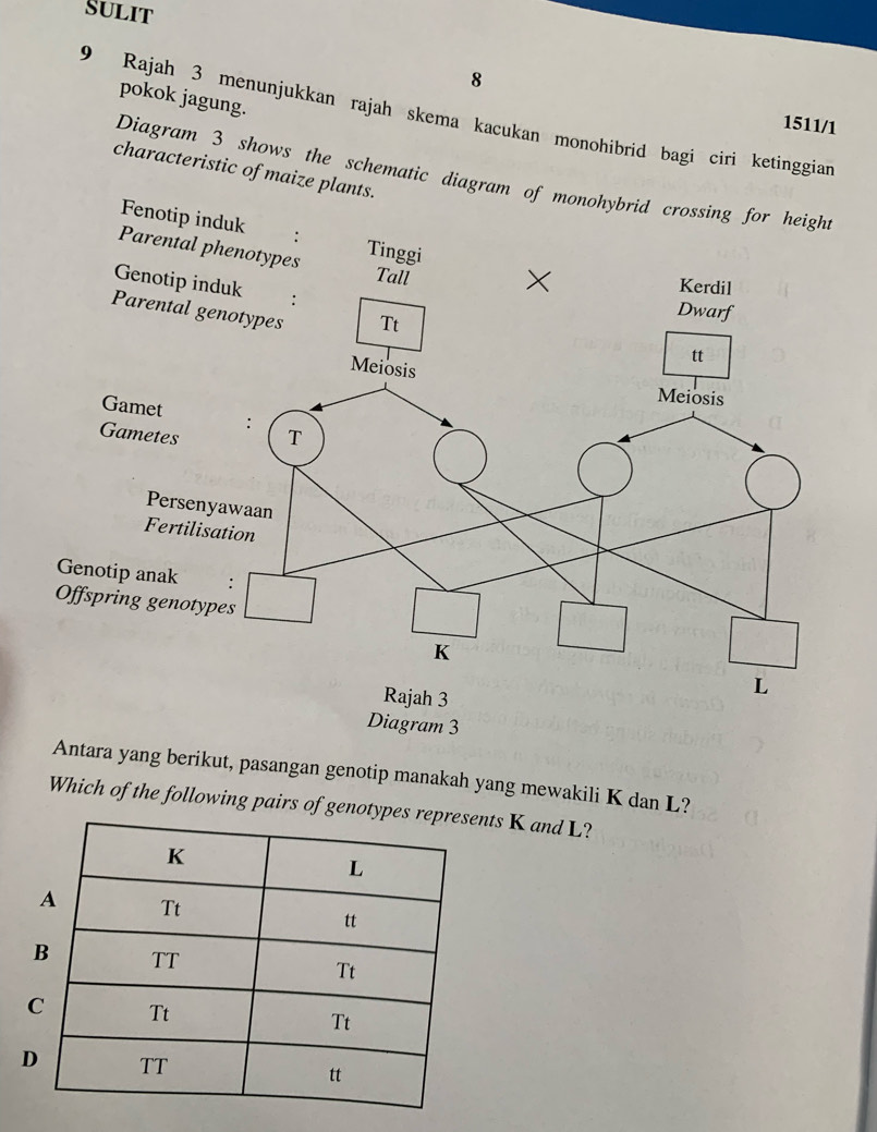 Sulit
8
pokok jagung.
9 Rajah 3 menunjukkan rajah skema kacukan monohibrid bagi ciri ketinggian
1511/1
characteristic of maize plants.
Diagram 3 shows the schematic diagram of mon
Antara yang berikut, pasangan genotip manakah yang mewakili K dan L?
Which of the following pairs of genotyents K and L?