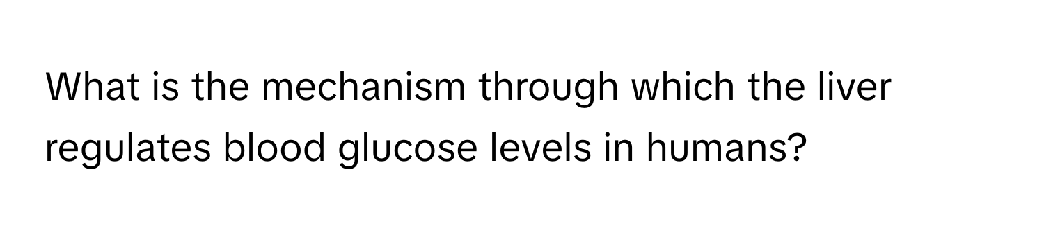 What is the mechanism through which the liver regulates blood glucose levels in humans?