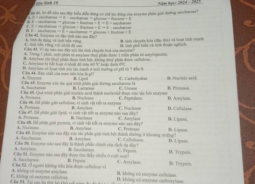 iệu Sinh 10 Năm học: 2024 - 2025
Câu 41. Sơ đồ nào sau đây biểu diễn đúng cơ chế tác động của enzyme phân giải đường saccharose?
A. E + saccharose → E - saccharose → glucose + fructose +E
B. E - saccharose → glucose + fructose + E → E + saccharose
C. E + saccharose → glucose + fructose + E → E - saccharose
D. E - saccharose → E + saccharose → glucose + fructose + E
Câu 42. Enzyme có đặc tính nào sau đây?
A. tính đa dạng và tính bền vứng. B. tính chuyên hóa (đặc thù) và hoạt tính mạnh
C. tính bền vững với nhiệt độ cao D. tính phổ biến và tính thuận nghịch.
Câu 43. Ví dụ nào sau đây nói lên tính chuyên hoá của enzyme?
A. Trong 1 phút, một phân tử amylase thuỷ phân được 1 triệu phân tử amylopectin.
B. Amylase chỉ thuỷ phân được tỉnh bột, không thuỷ phân được cellulose..
C. Amylase bị bất hoạt ở nhiệt độ trên 60°C hoặc dưới 0°C.
D. Amylase có hoạt tính xúc tác mạnh ở môi trường có pH từ 7 đến 8.
Cầu 44. Bản chất của men tiêu hóa là gì?
A. Enzyme B. Lipid C. Carbohydrat D. Nucleic acid.
Câu 45. Enzyme xúc tác quá trình phân giải đường saccharose là
A. Saccharase B. Lactarase C. Urease D. Protease.
Câu 45. Quá trình phân giải nucleic acid thành nucleotid được xúc tác bởi enzyme
A. Protease. B. Nuclease. C. Peptidase. D. Amylase.
Câu 46. Để phân giải cellulose, vi sinh vật tiết ra enzyme
A. Protease. B. Amylase C. Nuclease D. Cellulase.
Câu 47. Để phân giải lipid, vi sinh vật tiết ra enzyme nào sau đây?
A. Protease. B. Nuclease C. Amylase D. Lipase.
Câu 48. Để phân giải protein, vi sinh vật tiết ra enzyme nào sau đây?
A. Nuclease. B. Amylase C. Protease D. Lipase.
Câu 49. Enzyme nào sau đây xúc tác phân giải tinh bột thành đường ở khoang miệng?
A. Saccharase. B. Amylase C. Cellulsase. D. Lipase.
Câu 50. Enzyme nào sau đây là thành phần chính của dịch dạ dày?
A. Amylase. B. Saccharase C. Pepsin. D. Trypsin.
Câu S1. Enzyme não sau đây được tìm thấy nhiều ở ruột non?
A. Saccharase. B. Pepsin C. Amylase. D. Trypsin.
Câu 52. Ở người không tiêu hóa được cellulose vì
A. không có enzyme amylase. B. không có enzyme cellulase.
C. không có enzyme cellulose. D. không có enzyme carboxylase.
Câu 53. Tai sao ăn thịt bộ khô với