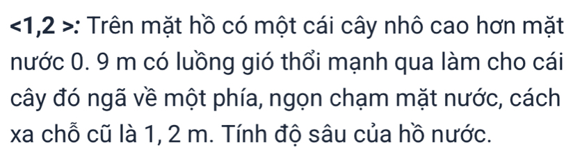 ∠ 1 ,2 >: Trên mặt hồ có một cái cây nhô cao hơn mặt 
nước 0. 9 m có luồng gió thổi mạnh qua làm cho cái 
cây đó ngã về một phía, ngọn chạm mặt nước, cách 
xa chỗ cũ là 1, 2 m. Tính độ sâu của hồ nước.