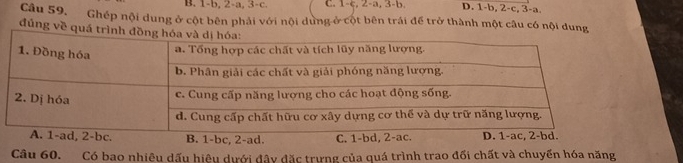 B. 1-b, 2-a, 3 -c. C. 1-ç, 2-a, 3-b. D. 1-b, 2-c, 3-a.
Câu 59. Ghép nội dung ở cột bên phải với nội dựng ở cột bên trái để trở thành một câu có nội dung
đủng về quá t
A. 1-ad, 2-bc. B. 1-bc, 2-ad. C. 1-bd, 2-ac. D. 1-ac, 2-bd.
Câu 60. Có bao nhiêu dấu hiệu dưới đây đặc trưng của quá trình trao đối chất và chuyển hóa năng