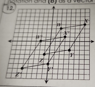 natation aña (B) as a vector