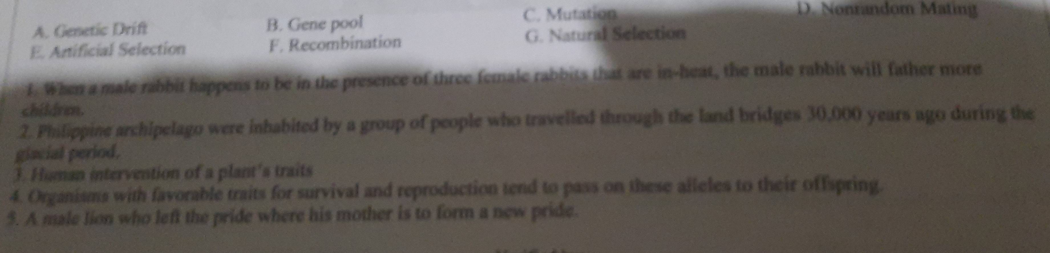 C. Mutation D. Nonrandom Mating
A. Genetic Drift B. Gene pool
E. Artificial Selection F. Recombination G. Natural Selection
f. When a male rabbit happens to be in the presence of three female rabbits that are in-heat, the male rabbit will father more
children.
2. Philippine archipelago were inhabited by a group of people who travelled through the land bridges 30,000 years ago during the
giacial period.
3. Human intervention of a plant's traits
4. Organisms with favorable traits for survival and reproduction tend to pass on these alleles to their offspring.
5. A male lion who left the pride where his mother is to form a new pride.