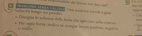 esponsabile del lavoro nei due casi? due ki Un cic 
8 PROBLEMA SENZA CALCOLI Una sciatrice scende a gran 
rappo 
velocità lungo un pendio. = Cal 
sist 
Disegna lo schema delle forze che agiscono sulla sciatrice. 
Per ogni forza, indica se compie lavoro positivo, negativo dì 
o nullo. Spi