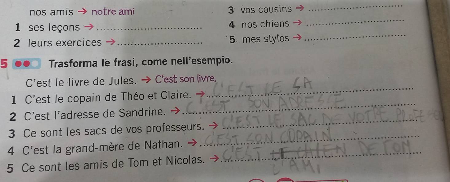 nos amis notre ami 3 vos cousins 
_ 
_ 
1 ses leçons _4 nos chiens 
_ 
2 leurs exercices _5 mes stylos 
5 Trasforma le frasi, come nell’esempio. 
_ 
C'est le livre de Jules. → C'est son livre. 
_ 
1 C'est le copain de Théo et Claire. 
_ 
2 C'est l’adresse de Sandrine. 
_ 
3 Ce sont les sacs de vos professeurs. 
_ 
4 C'est la grand-mère de Nathan. - 
5 Ce sont les amis de Tom et Nicolas.