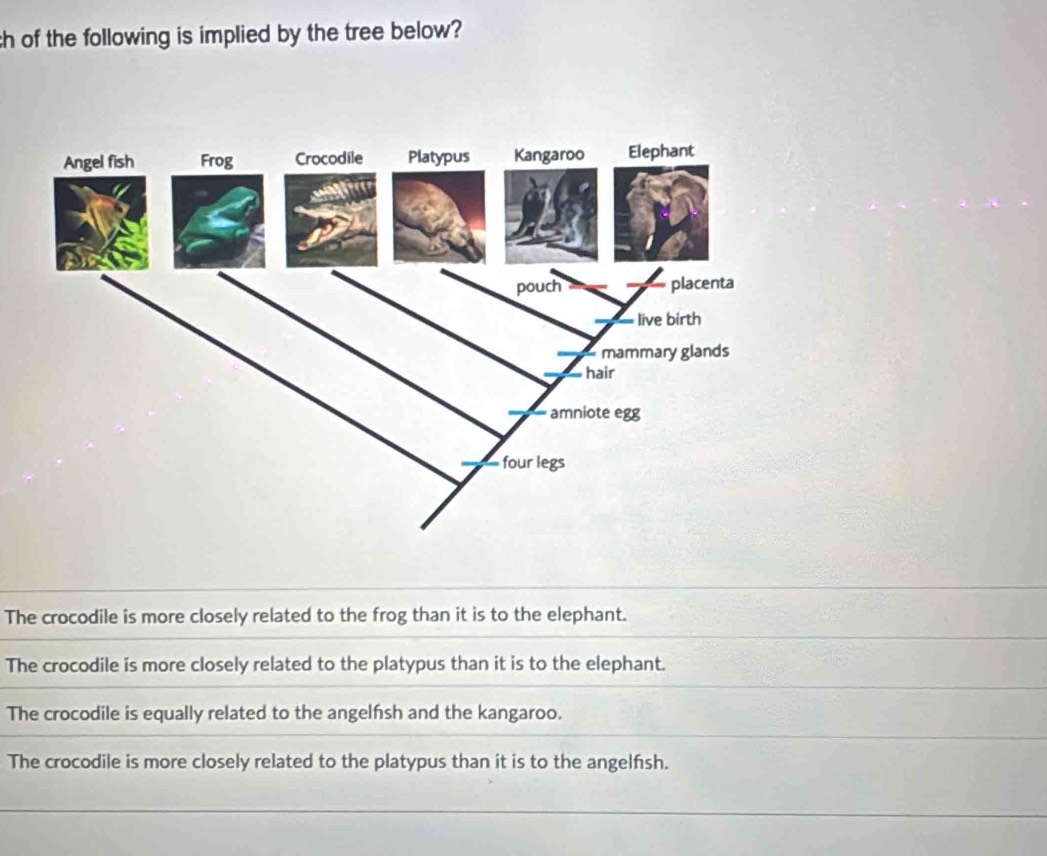 ch of the following is implied by the tree below?
The crocodile is more closely related to the frog than it is to the elephant.
The crocodile is more closely related to the platypus than it is to the elephant.
The crocodile is equally related to the angelfsh and the kangaroo.
The crocodile is more closely related to the platypus than it is to the angelfsh.