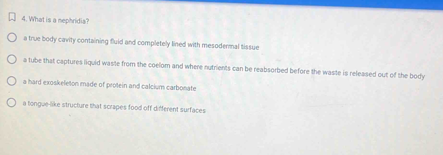 What is a nephridia?
a true body cavity containing fluid and completely lined with mesodermal tissue
a tube that captures liquid waste from the coelom and where nutrients can be reabsorbed before the waste is released out of the body
a hard exoskeleton made of protein and calcium carbonate
a tongue-like structure that scrapes food off different surfaces