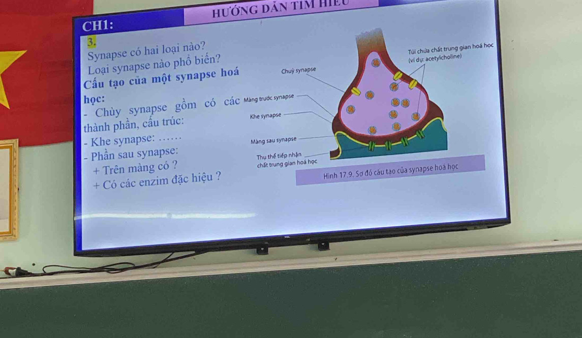 hướng dản tim Hiều 
CH1: 
3. 
Synapse có hai loại nào? 
Loại synapse nào phổ biến? 
(ví dụ: acetylcholine) Túi chứa chất trung gian hoá học 
Cầu tạo của một synapse hoá Chuỳ synapse 
học: 
- Chùy synapse gồm có các Màng trước synapse 
thành phần, cấu trúc: Khe synapse 
- Khe synapse: ..... 
Màng sau synapse 
_ 
- Phần sau synapse: _a 
+ Trên màng có ? Thụ thể tiếp nhận 
chất trung gian hoá học 
+ Có các enzim đặc hiệu ? 
Hình 17.9. Sơ đó cáu tạo của synapse hoá học