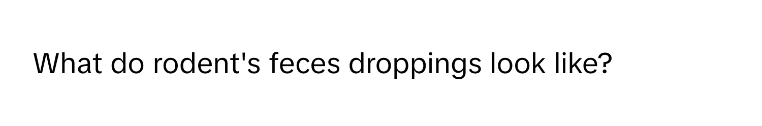 What do rodent's feces droppings look like?