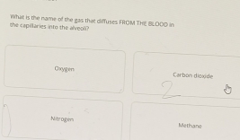 the capillaries into the alveoli? What is the name of the gas that diffuses FROM THE BLOOD in
Cxygers Carbon dioxide
Nitrogem
Methane