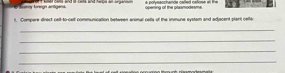 jucton of T killer cells and B cells and helps an organism a polysaccharide called callose at the Cell walls 
to destroy foreign antigens. opening of the plasmodesma. 
1. Compare direct cell-to-cell communication between animal cells of the immune system and adjacent plant cells: 
_ 
_ 
_ 
_ 
o e l o l l gn a lin g occ rrin g th o u gh plasmodesma ta :