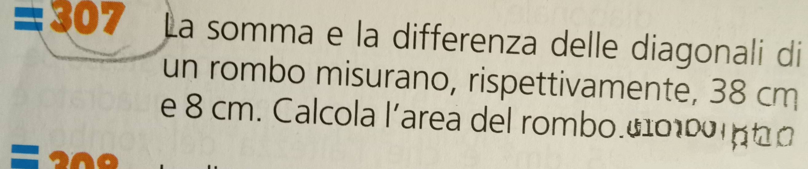 307 La somma e la differenza delle diagonali di 
un rombo misurano, rispettivamente, 38 cm
e 8 cm. Calcola l’area del rombo. 410100 πb0
on