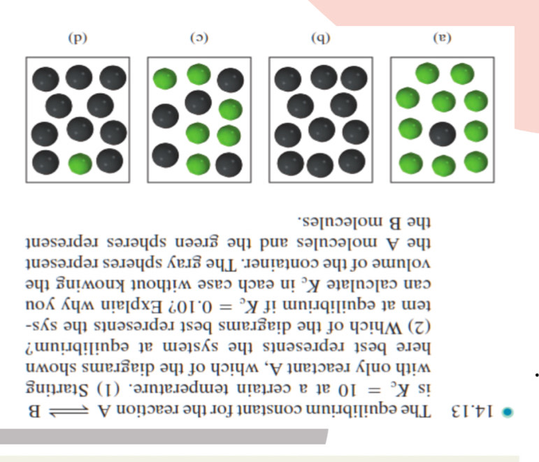 (3) (q) (e) 
luə