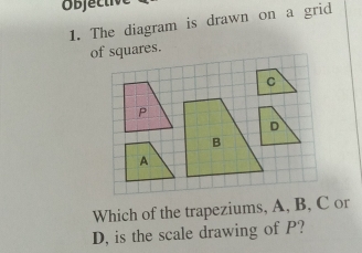 The diagram is drawn on a grid 
of squares. 
Which of the trapeziums, A, B, C or
D, is the scale drawing of P?