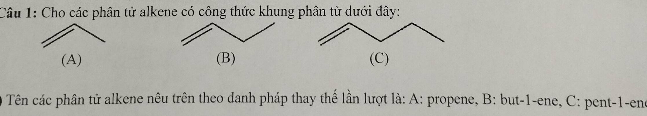 Cho các phân tử alkene có công thức khung phân tử dưới đây: 
(A) (B) (C) 
Tên các phân tử alkene nêu trên theo danh pháp thay thế lần lượt là: A: propene, B: but-1-ene, C: pent-1-ene