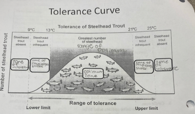 Tolerance Curve