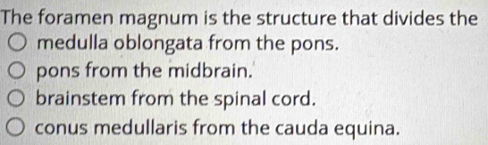 The foramen magnum is the structure that divides the
medulla oblongata from the pons.
pons from the midbrain.
brainstem from the spinal cord.
conus medullaris from the cauda equina.