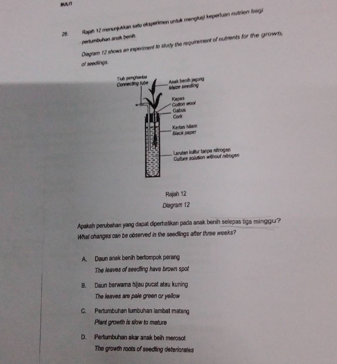 SUALIT
28. Rajah 12 menunjukkan satu eksperimen untuk mengkaji keperfuan nutrien bagi
pertumbuhan anak benih.
Diagram 12 shows an experiment to study the requirement of nutrients for the growth
of seedlings.
Apakah perubahan yang dapat diperhatikan pada anak benih selepas tiga minggu?
What changes can be observed in the seedlings after three weeks?
A. Daun anak benih bertompok perang
The leaves of seedling have brown spot
B. Daun berwarna hijau pucat atau kuning
The leaves are pale green or yellow
C. Pertumbuhan tumbuhan lambat matang
Plant growth is slow to mature
D. Pertumbuhan akar anak beih merosot
The growth roots of seedling deteriorates