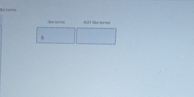 like terms. 
like terms NOT like terms