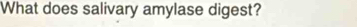 What does salivary amylase digest?