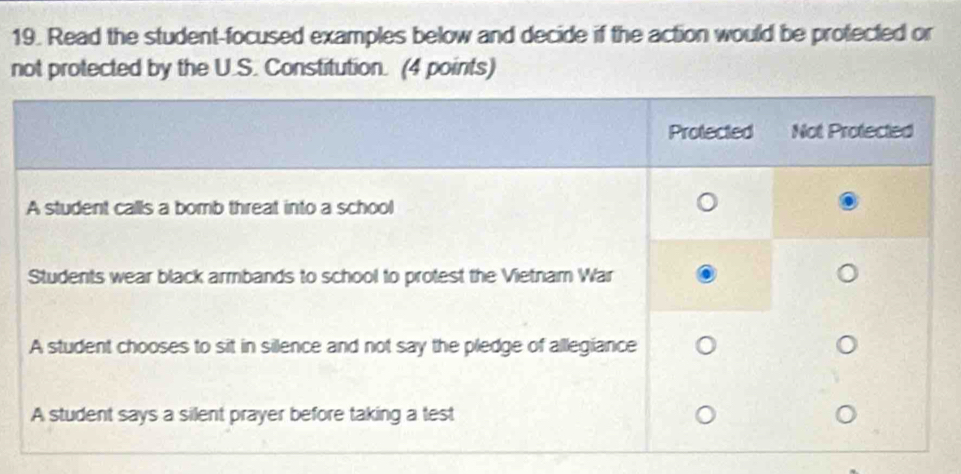 Read the student-focused examples below and decide if the action would be protected or 
not protected by the U.S. Constitution. (4 points)